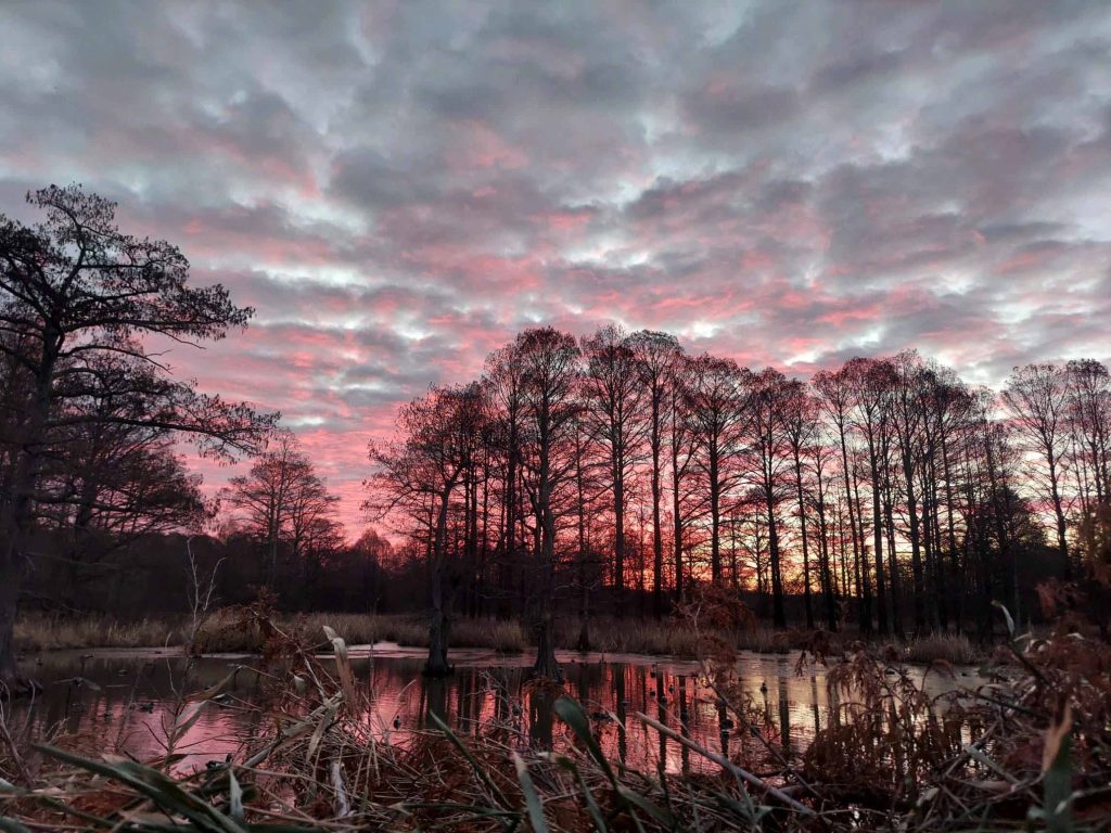 Colorful sunset reflecting on reelfoot lake, Tennessee