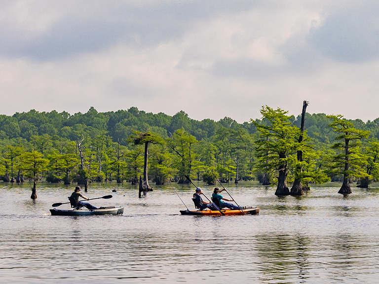 two kayaks on Reelfoot lake with trees in the background